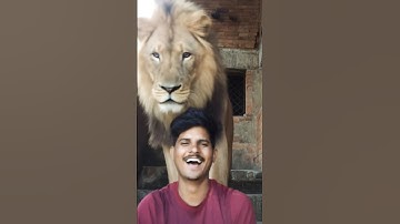 tutorial Lion filter 🦁☠️ !! #shorts_ #shortsfeed #viralshorts #tutorialyoutubechannel #filter