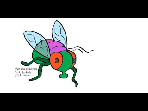 Video: Wie Zeichnet Man Eine Fliege