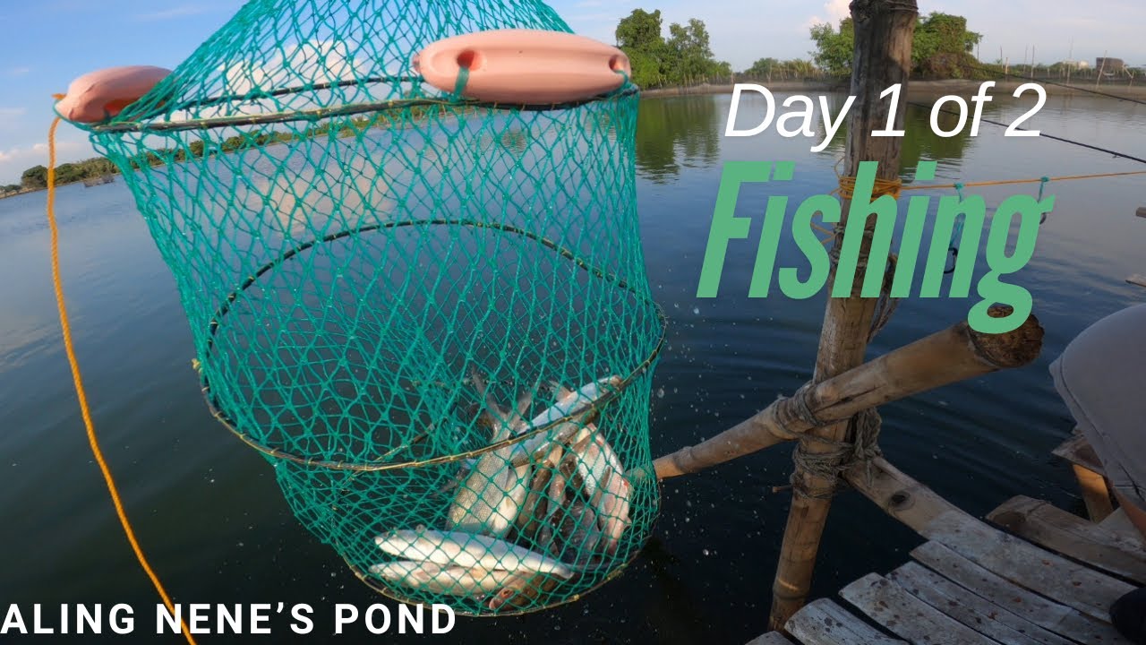 Bait and Wait - Aling Nene's Pond - Baitcast and Spinning Tackles - Shimano Sedona - Kastking Verus