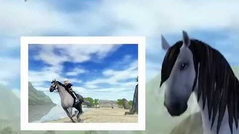 Dusk Till Dawn / SSO MUSIC VIDEO