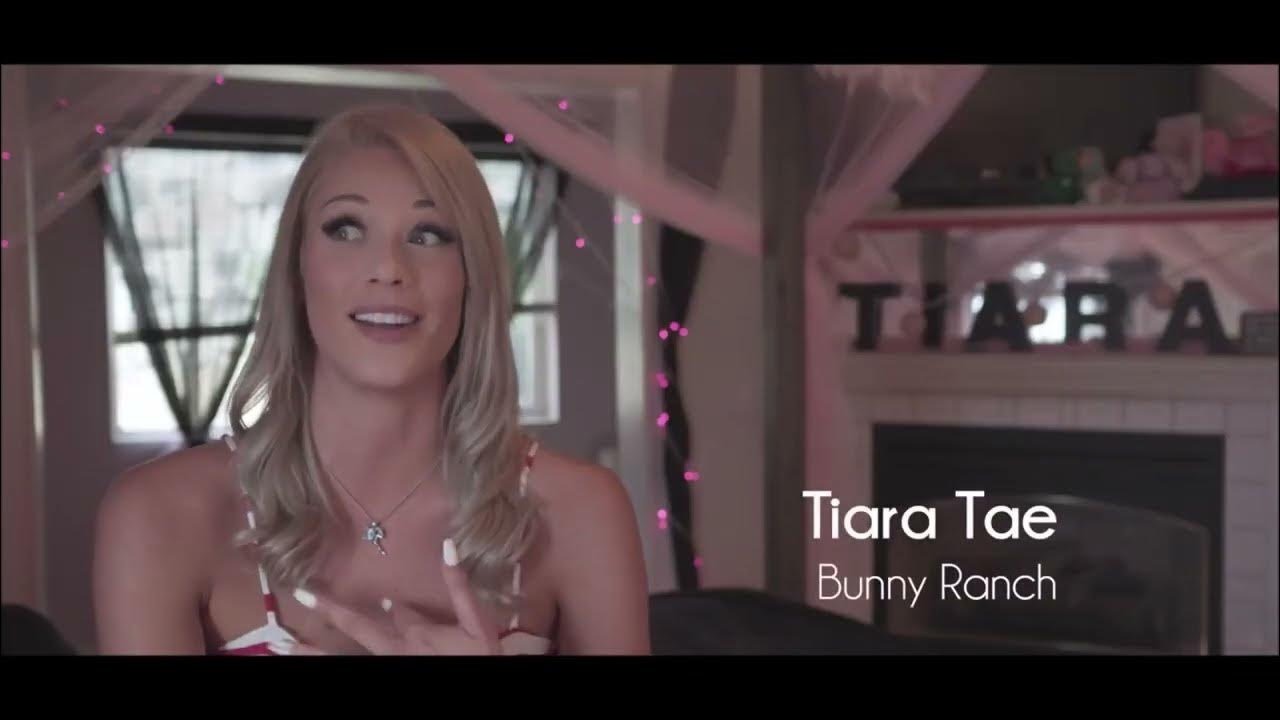 INSIDE THE MOONLITE BUNNY RANCH YouTube