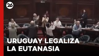 Ley Pionera Uruguay Aprobó La Ley Para Legalizar La Eutanasia