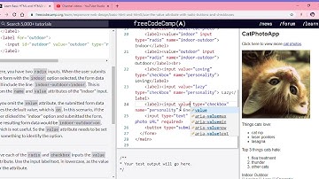 Learn Basic HTML and HTML5  Use the value attribute with Radio Buttons and Checkboxes   freeCodeCamp