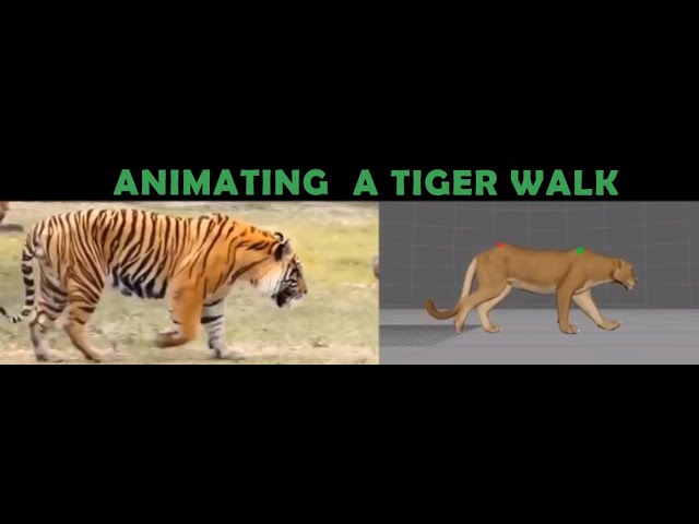 Animal Animation Tiger Walking - YouTube