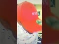 ود المزاد ود المزاد
