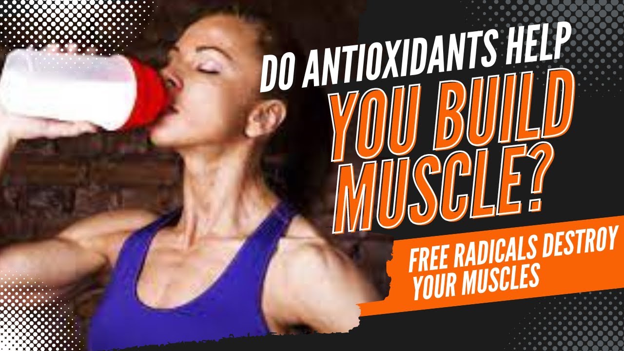 Do Antioxidants Help You Build Muscle? YouTube