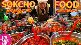Sokcho Korea Food Adventure Round 2! Traditional Markets, Live Fish \& More!