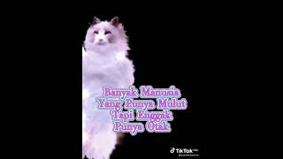 Download Lagu Tekotok MP3 Download Lagu Tekotok MP3
