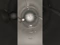 Floating Dip Tube timelaps Cornelius Keg