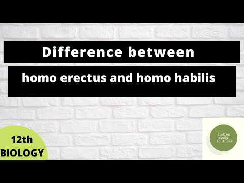 Video: Homo Habilis Ir Homo Erectus Skirtumas