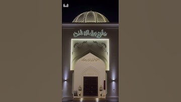 برواية الدوري عن الكسائي | تلاوة للشيخ أنس العمادي | وبالوالدين إحسانا🤍