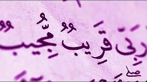 3 -سورة آل عمرآن - ماهر المعيقلي - بدون اعلانات