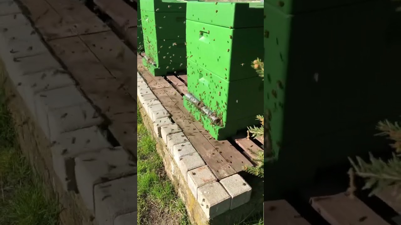 Начало нового проекта в сезоне 2025 