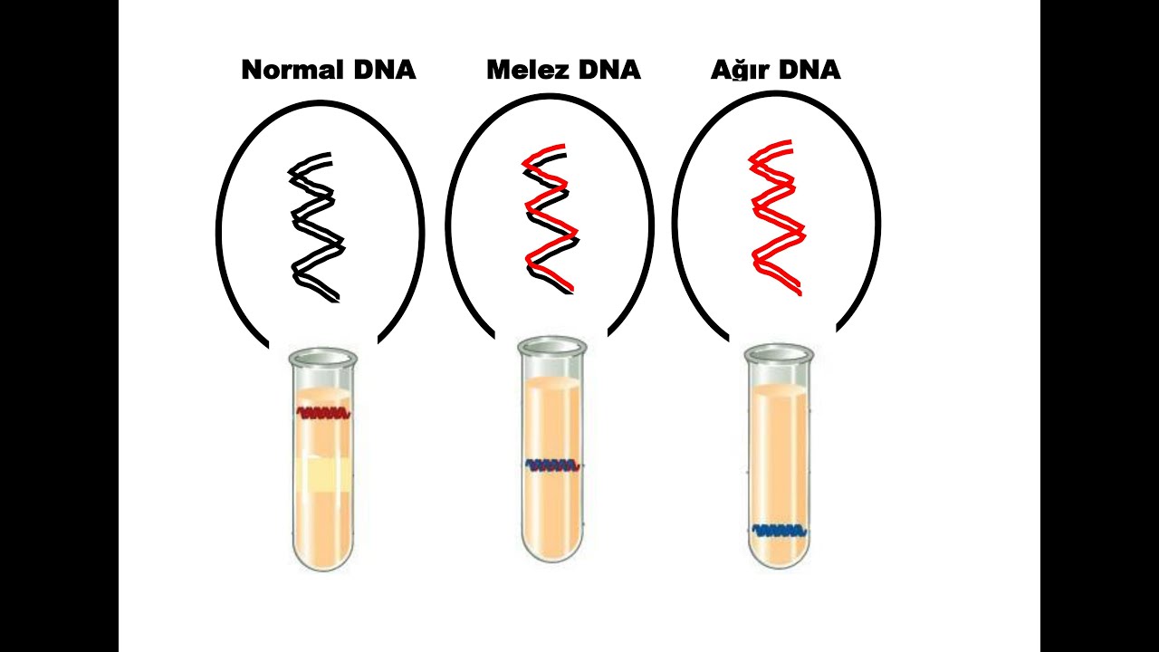 Chiqib ketgan külotlarning porno fotosuratlari