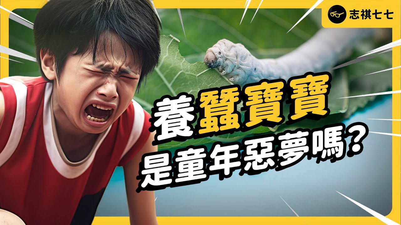 小學生的全民運動！為何台灣小朋友要養蠶寶寶？現在的小孩還要養嗎？《台味七七》EP 039｜志祺七七