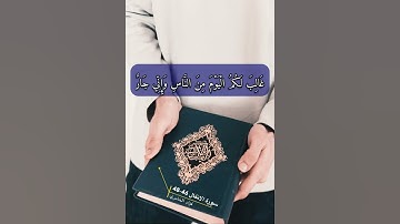 سورة الانفال الاية 46-48