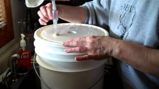 Homebrew Wednesday Feb.8, 2012. Homemade elderberry wine