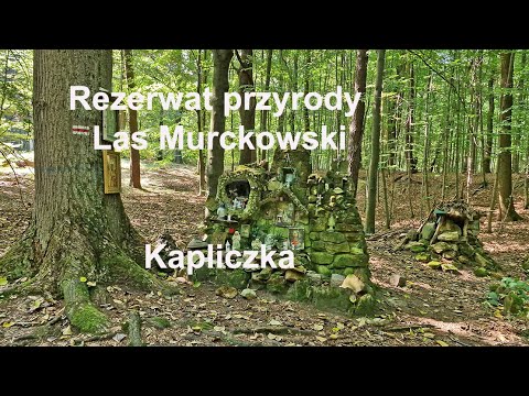 rezerwat-przyrody-las-murckowski-kapliczka-lasy-murckowskie-cz-3