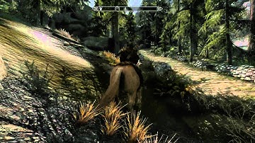 Elder Scrolls V Skyrim Confident ENB lighting mod gameplay