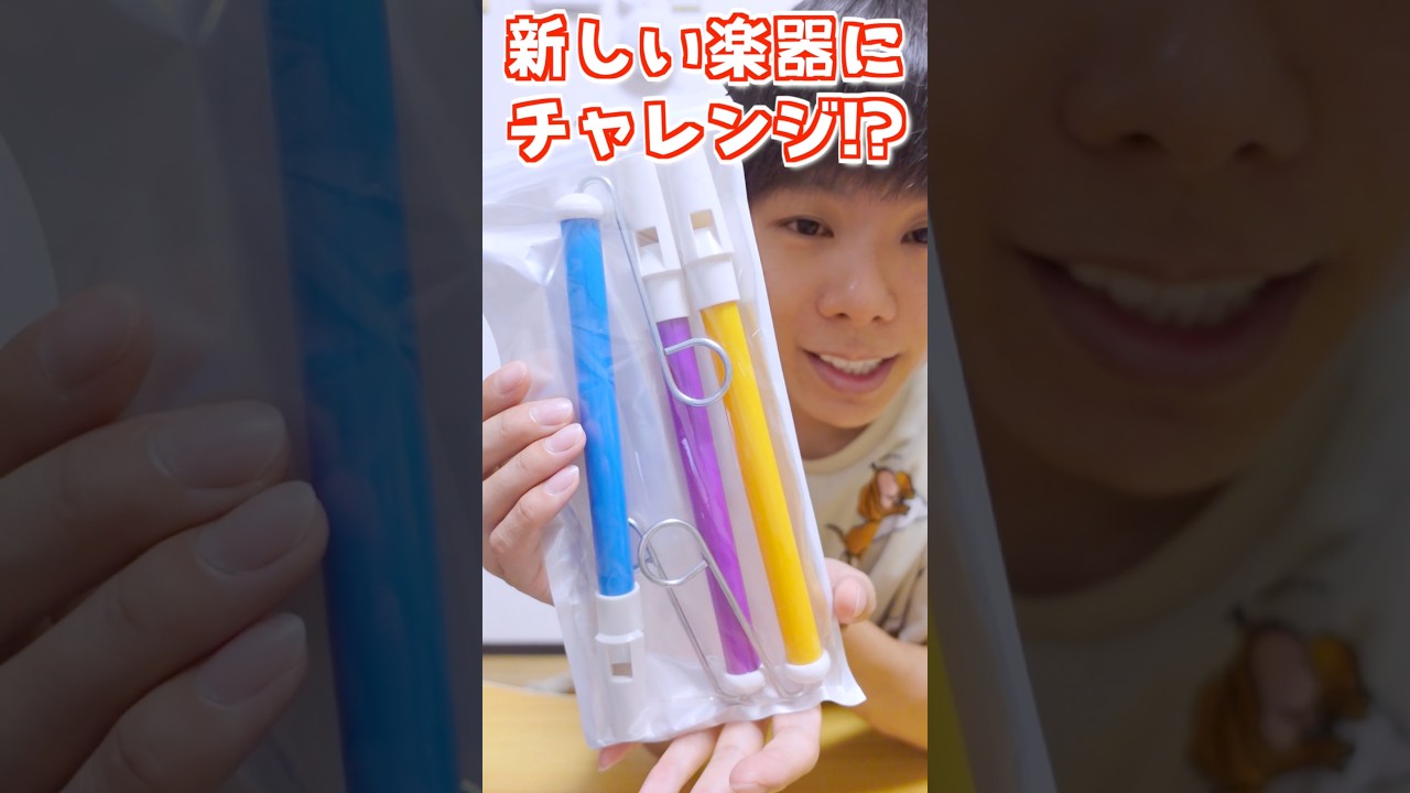新しい面白い『楽器』始めてみたら...壊れてない⁉️【オタマトーン/スライドホイッスル】