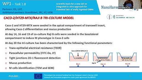 NanoHarmony 2nd Project Workshop: Health Effects, Env. Fate & Updates from Other Malta Initiatives