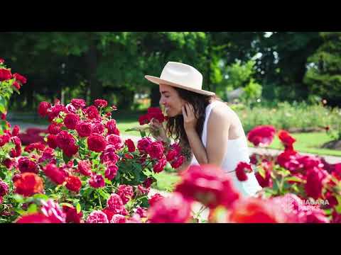 Niagara Parks Botanical Gardens