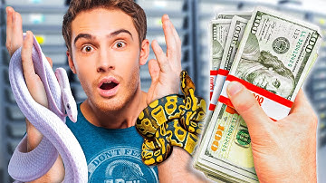 I Purposely Over Paid For All The Animals At A Reptile Show!