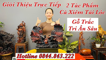 MỸ NGHỆ LONG MY Giới Thiệu Tri Ân Sâu Tác Phẩm Cá Xiêm Tài Lộc Gỗ Trắc . Hotline 0844.843.222