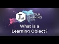 Understanding Learning Objects in Lincoln Empowered