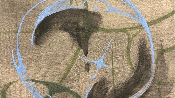 Professional Practices Introduction video: Jenna Wesson