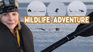 I Hiked and Kayaked Loch Etive to Find Wildlife