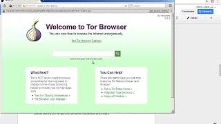 Como descargar Tor Browser y empezar a entrar en la deep web