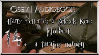 Harry Potter és a Bölcsek Köve hangoskönyv | 14. fejezet