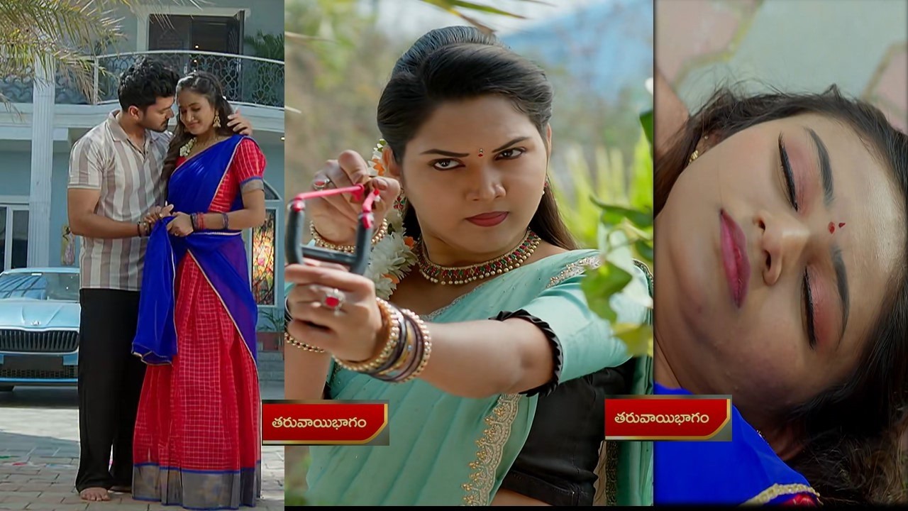 నిక్కి కీ దిమ్మతిరిగే షాక్ ఇచ్చిన సిరి సిద్దు అసలు బండారం బట్టబయలు