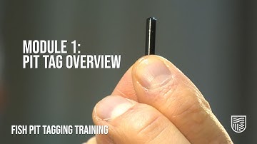 Fish PIT Tagging Training | Module 1: Overview of PIT Tagging