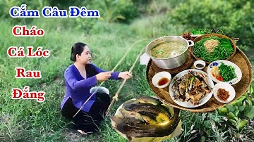 CẮM CÂU CÁ LÓC ĐÊM Bắt Gặp Mèo Rừng Và Món Cháo Cá Rau Đắng Ngày Mưa Ấm Lòng #sănbắtmiềntây