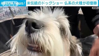 米伝統のドッグショー　仏系の犬種が初優勝(2023年5月12日)