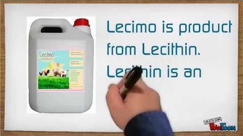 Emulsifier - Lecithin