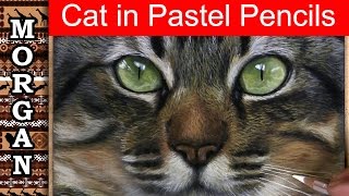 Beginner lesson  Drawing a Realistic Cat using Pastel pencils