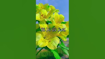 قرآن كريم من سورة (الزمر)