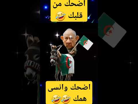 اضحك من قلبك مع الجنرال فوق الحمار المغرب الجزائر فرنسا