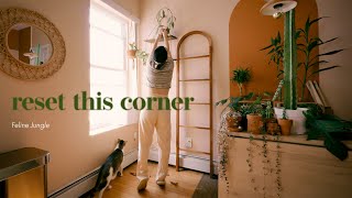 My struggle of having cats and plants🐱🌱 by Feline Jungle 2,055 views 4 months ago 6 minutes, 1 second