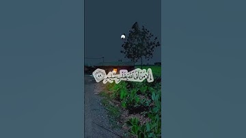 أكتب شيء تؤجر عليه ❤📿  /القارئ أحمد النفيس