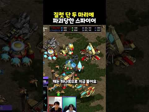질럿 단 두 마리에 파괴당한 스파이어