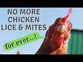 ☑️ No more chicken lice & Mites! 👾 Ποτέ ξανά ψείρες στο κοτέτσι! 🐓