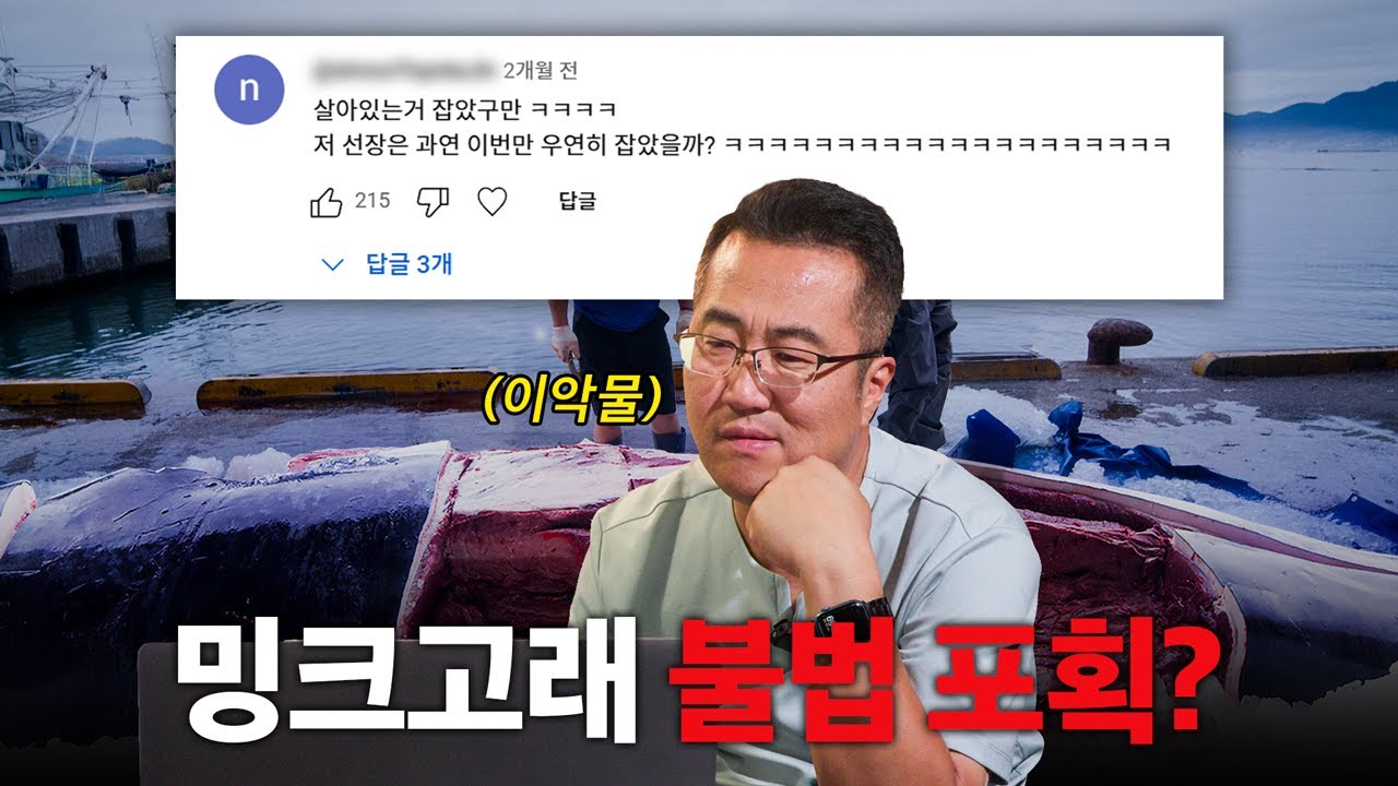 고래 불법 포획? 논란에 대해 더 이상 침묵하지 않겠습니다.