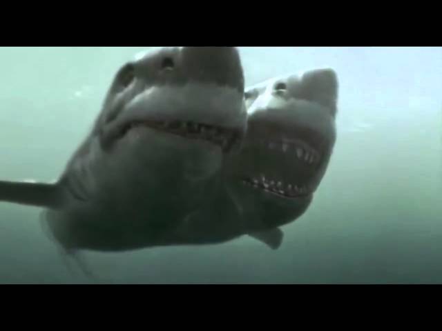 (720pHD): 2 Headed Shark Attack vs 3 Headed Shark Attack: Official Music Video class=
