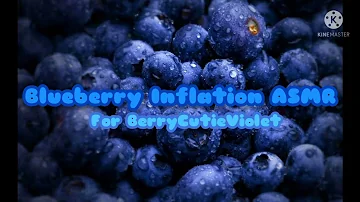 Blueberry Inflation ASMR (For BerryCutieViolet)