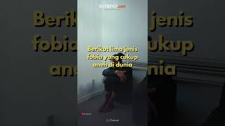 5 Fobia Paling Aneh di Dunia, Ada Rasa Takut terhadap Toilet