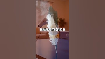 Exploring the Coanda Effect with a Hair Dryer and Ping Pong Ball